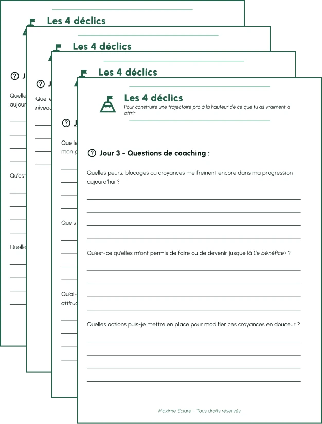 Les 4 worksheets PDF de la formation